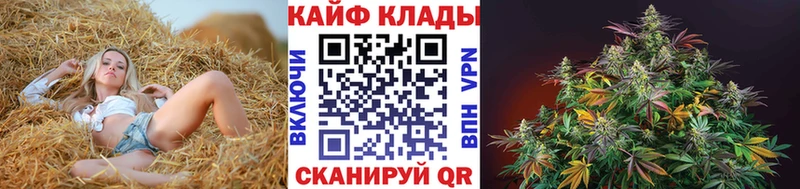 Что такое Дубовка АМФ  Меф  ГАШИШ  Галлюциногенные грибы  Альфа ПВП  КОКАИН 