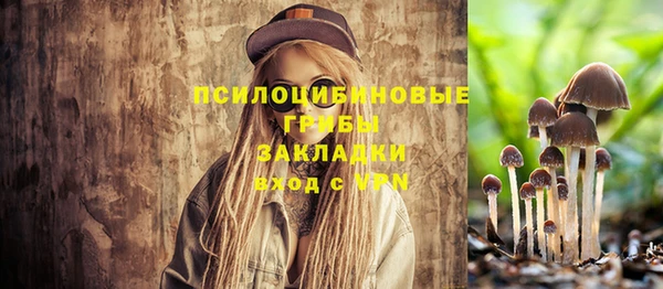 ECSTASY Абаза